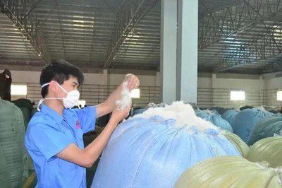 吳川市精準服務上市后備的羽絨企業(yè)