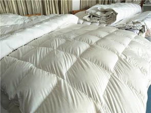 最新供求 淮安市淮安區鑫豐羽絨制品廠