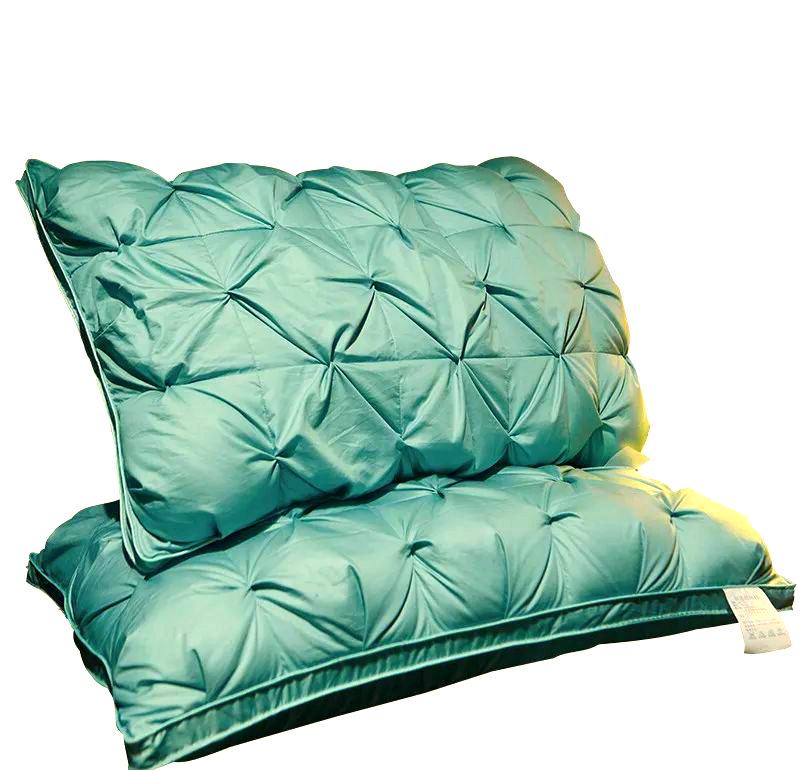 探秘羽絨世界:從生長到加工,一次了解清楚